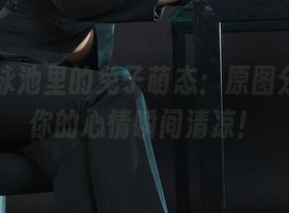 丽柜 – 泳池里的兔子萌态:原图分享,让你的心情瞬间清凉!