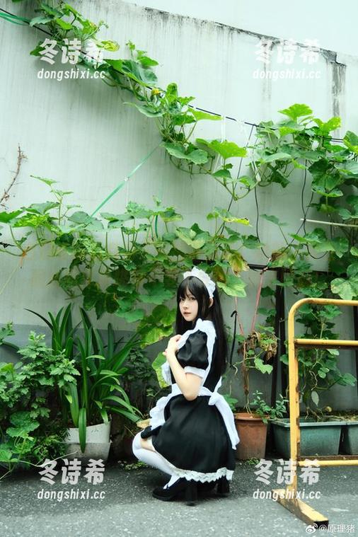 白莉爱吃巧克力 白莉爱吃巧克力又来搞事情了!她的小舞在最新图库里跳得不要不要的,快来围观!